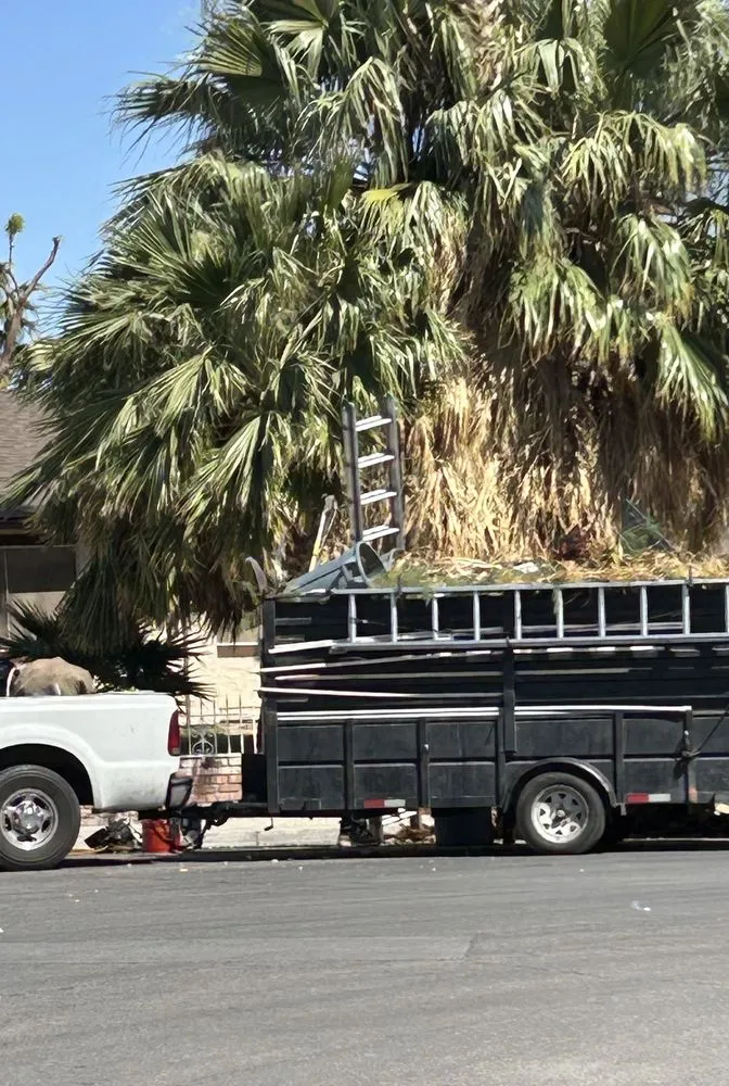 Affordable residential landscaping in Las Vegas, NV by Diamond Tree Service