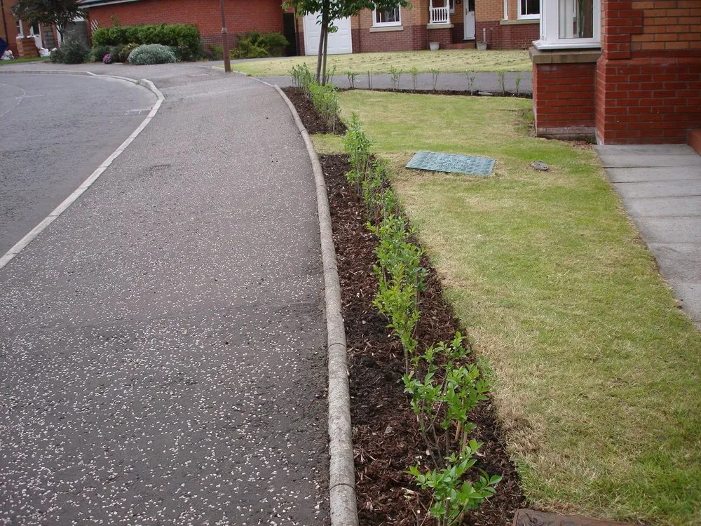 Affordable landscaping services in Royal Oak, MI - Diamond Valley Outdoor Creations