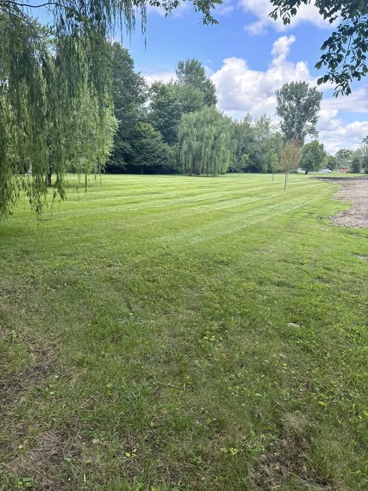 Custom yard cleanup service with custom design across Royal Oak, MI - Diamond Valley Outdoor Creations