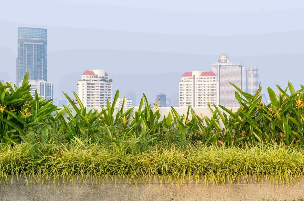 Reliable lawn mowing service in Royal Oak, MI by Diamond Valley Outdoor Creations