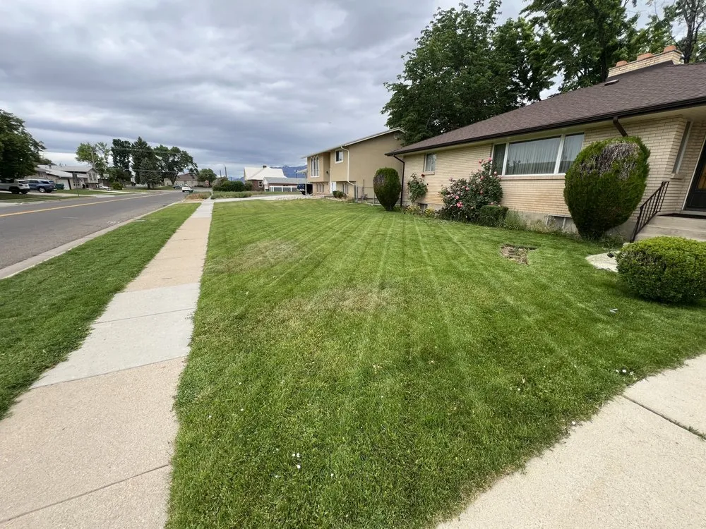 Professional landscaping services experts serving Layton, UT - Diamondback Landscape