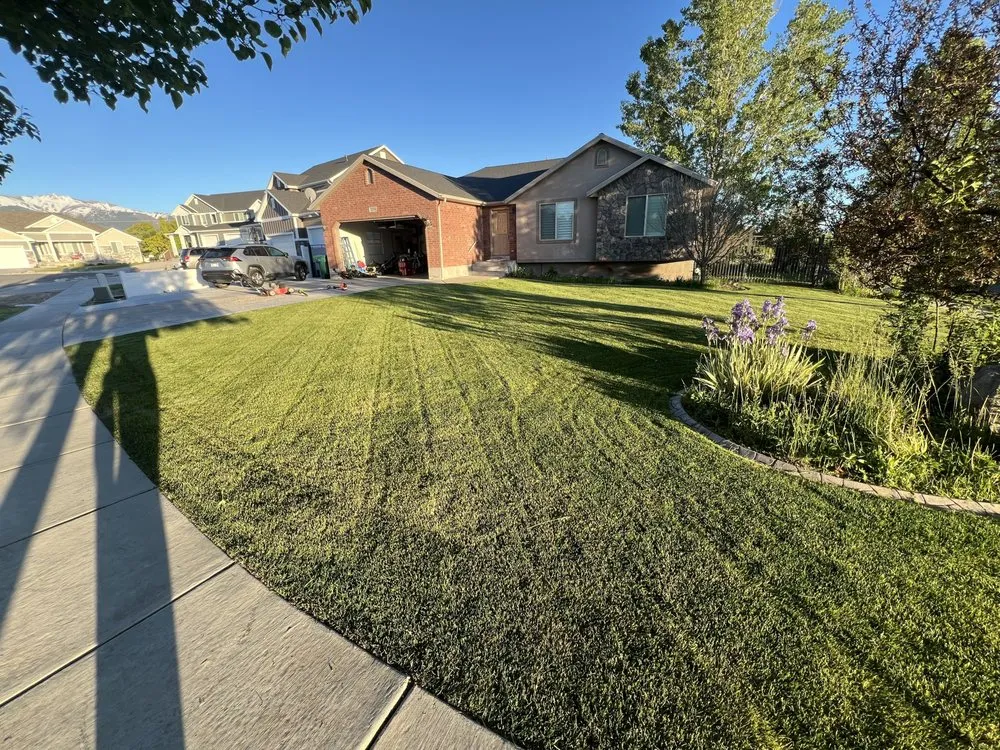 Trusted yard cleanup service in Layton, UT by Diamondback Landscape