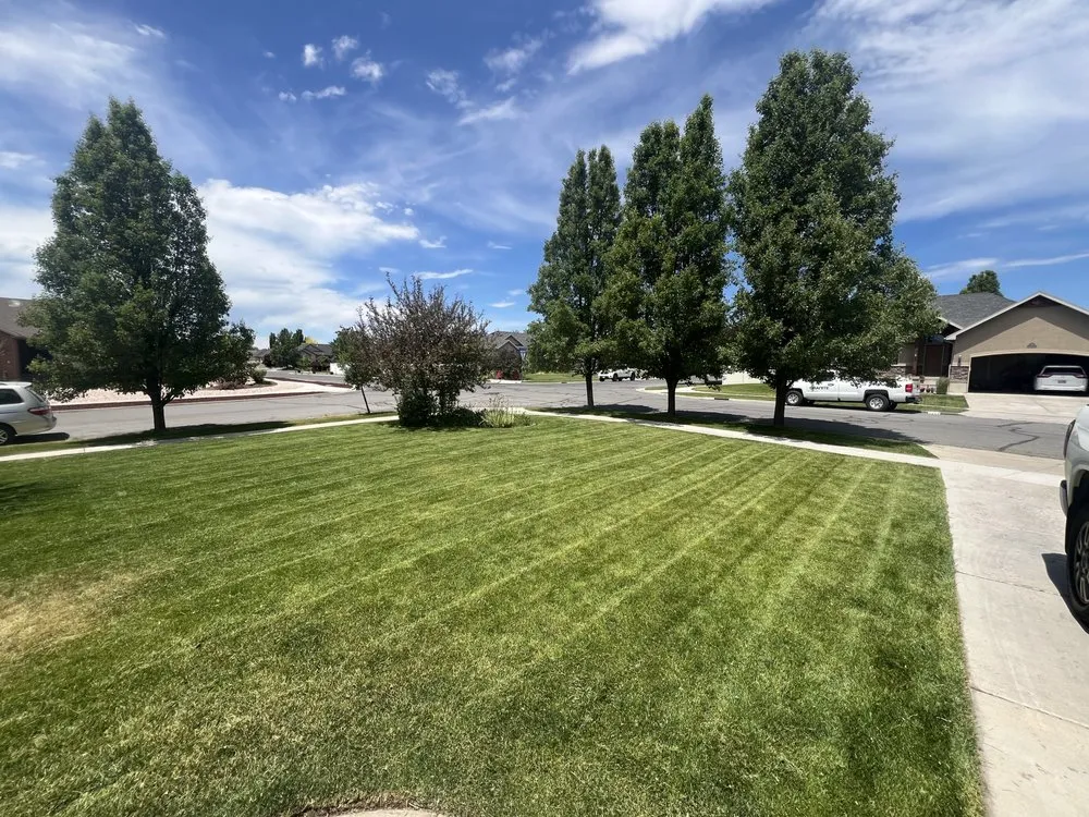 Trusted outdoor landscaping experts serving Layton, UT - Diamondback Landscape