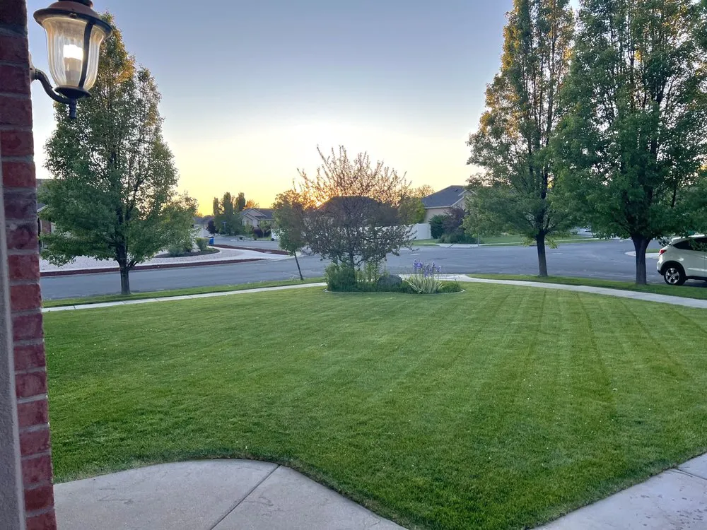Professional yard maintenance for beautiful yards in Layton, UT by Diamondback Landscape