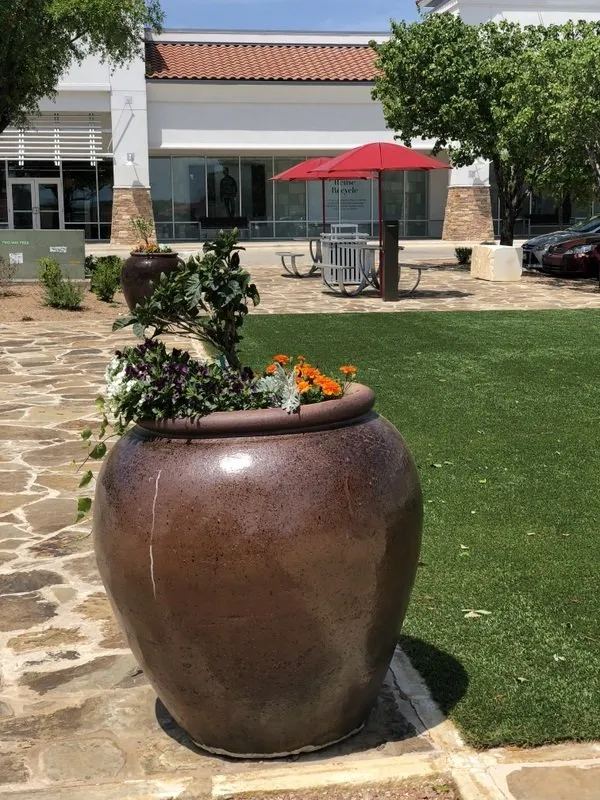 Reliable lawn care service for residential properties across San Marcos, TX - Diamondback Landscaping