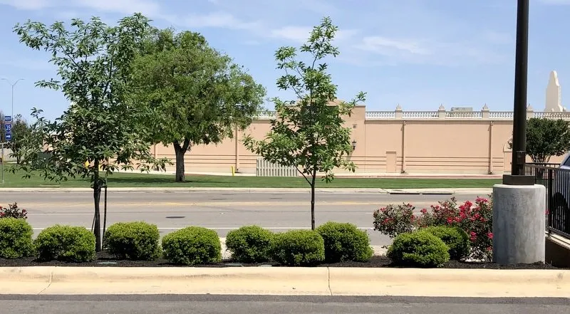 Local lawn mowing service experts serving San Marcos, TX - Diamondback Landscaping