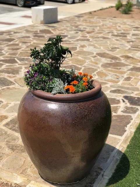 Expert yard cleanup service for residential properties in San Marcos, TX by Diamondback Landscaping