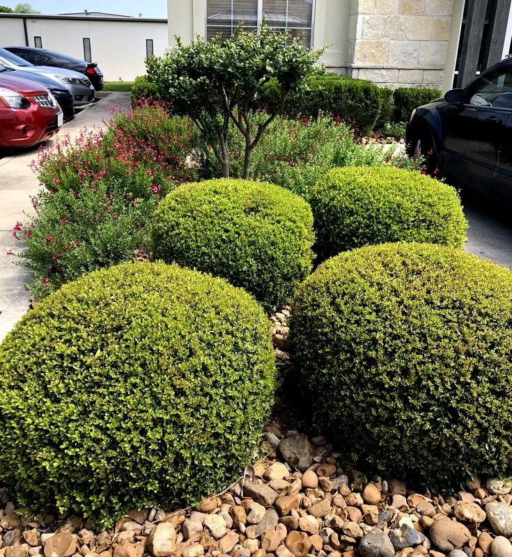 Reliable landscape design in San Marcos, TX by Diamondback Landscaping