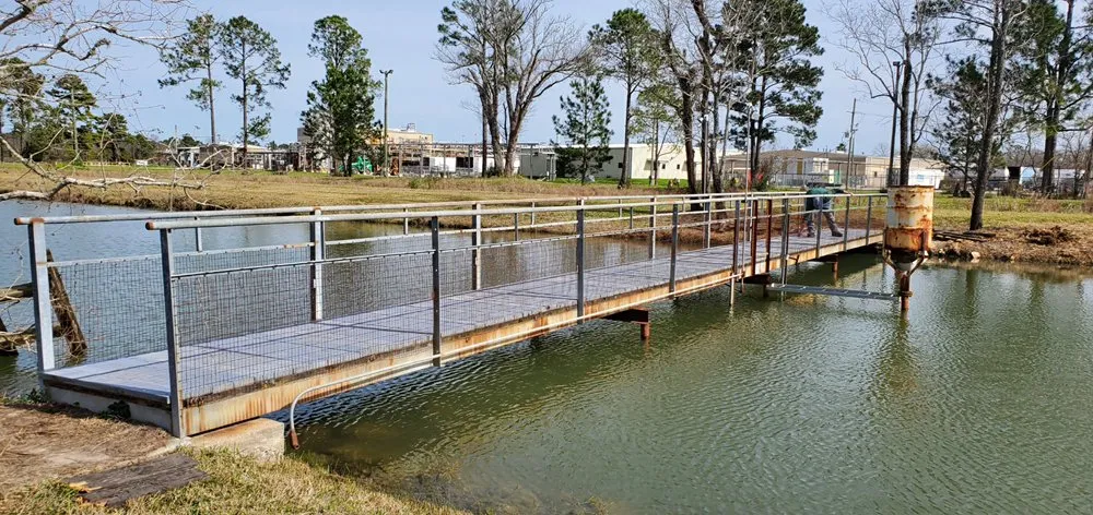 Professional landscape design in Montgomery, TX - Diamondback Service Management