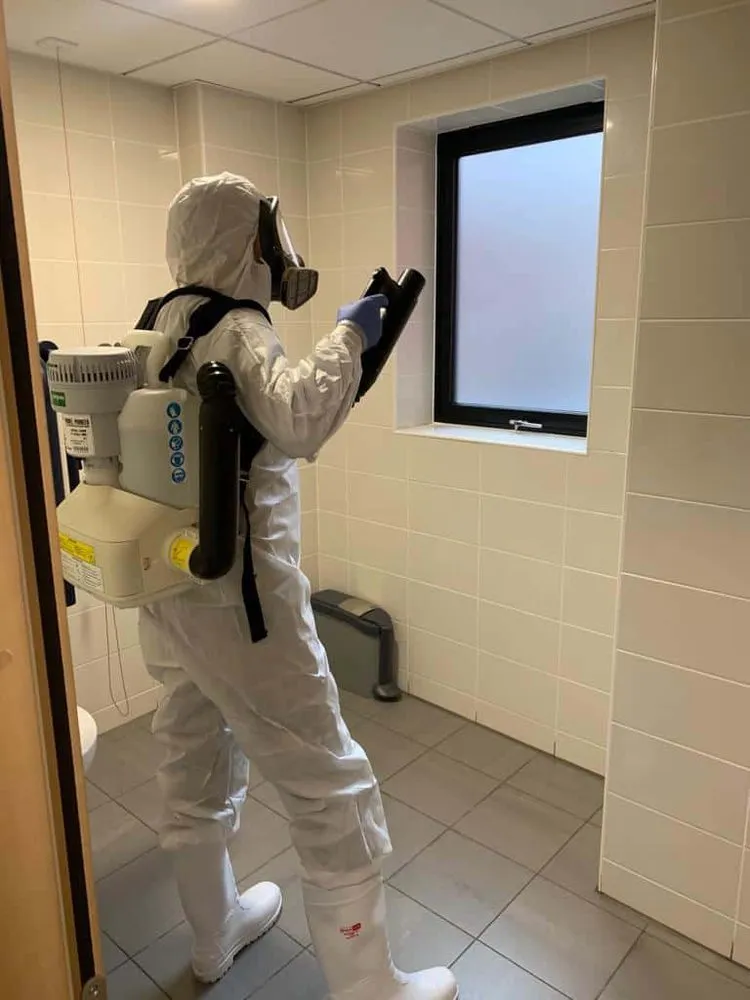 Trusted landscaping services in Montgomery, TX by Diamondback Service Management