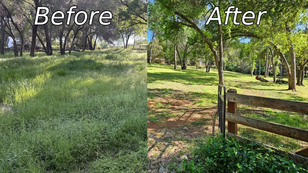Reliable landscape design for year-round maintenance across Sonora, CA - Diamondback Yard Services