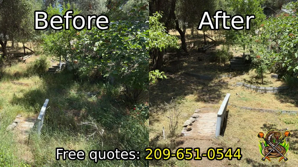 Trusted garden landscaping for outdoor upgrades across Sonora, CA - Diamondback Yard Services