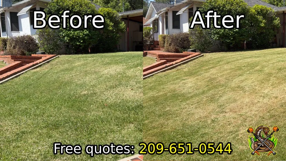 Top-rated residential landscaping experts serving Sonora, CA - Diamondback Yard Services