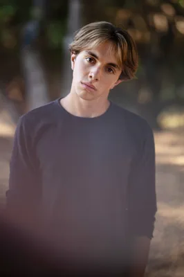 Diamondback Yard Services Logo