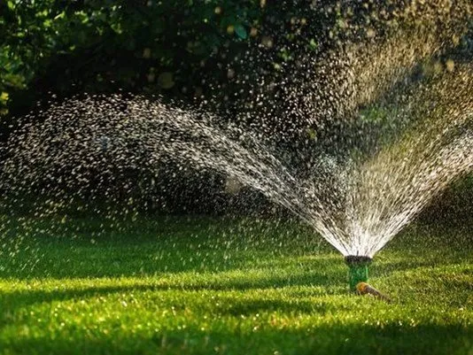 Professional yard cleanup service with custom design across Richmond, VA - Diamondcutz Lawn Care