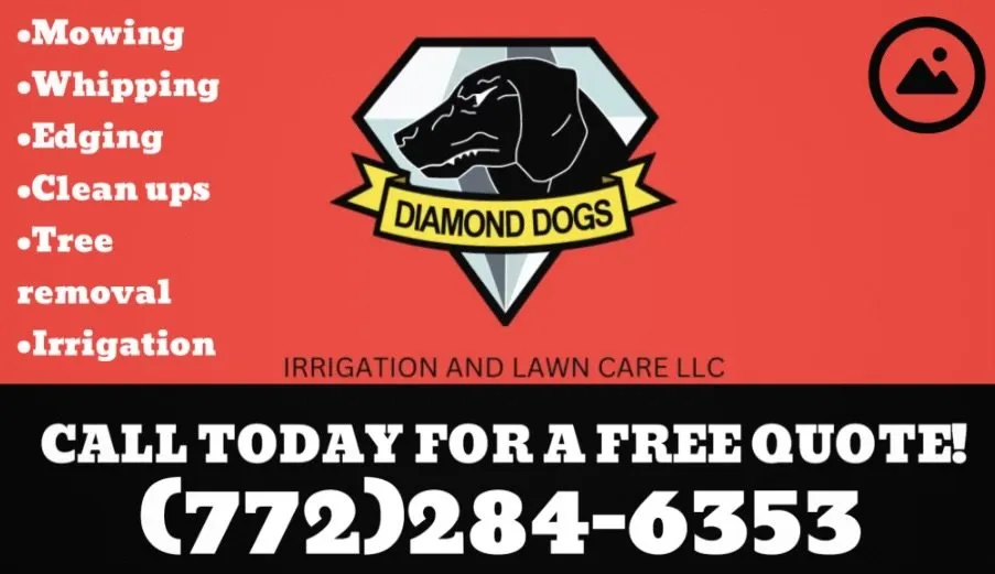 Top-rated yard cleanup service experts serving Hobe Sound, FL - DiamondDogs Irrigation and Landscaping