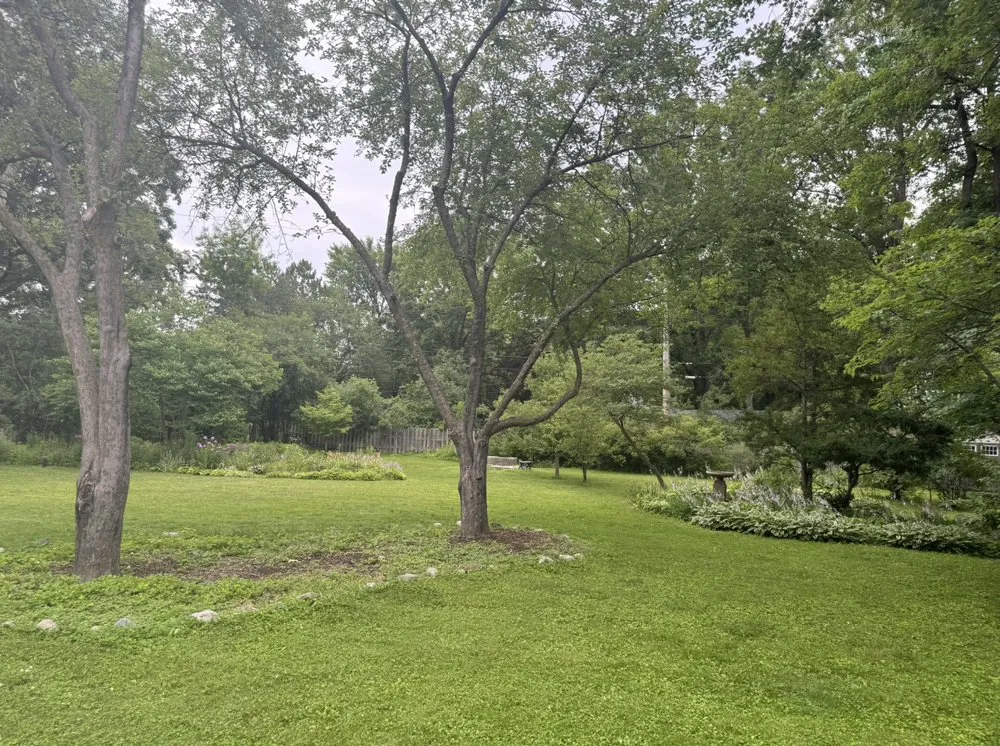 Top-rated landscaping services experts serving Hobe Sound, FL - DiamondDogs Irrigation and Landscaping