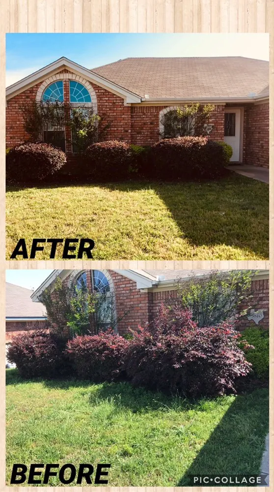 Expert landscape installation with custom design across Killeen, TX - DiamondKing's Professional Services