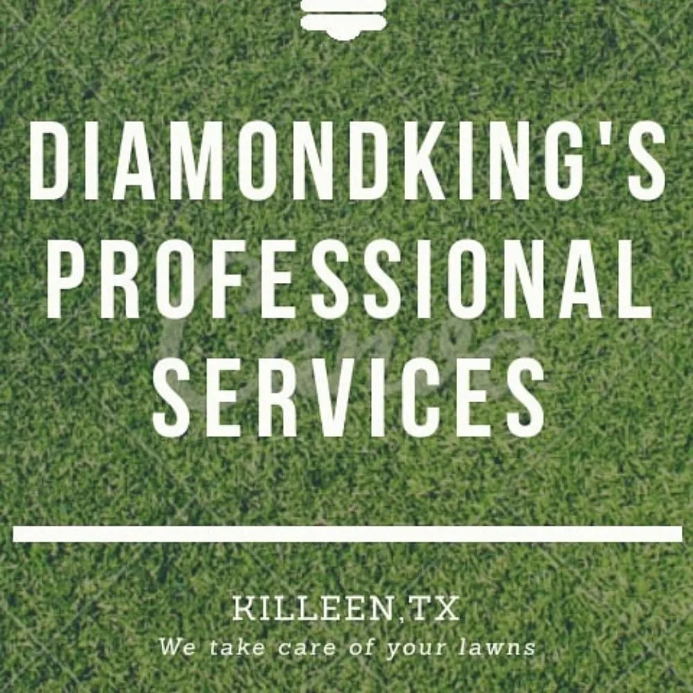Trusted landscape installation for year-round maintenance across Killeen, TX - DiamondKing's Professional Services