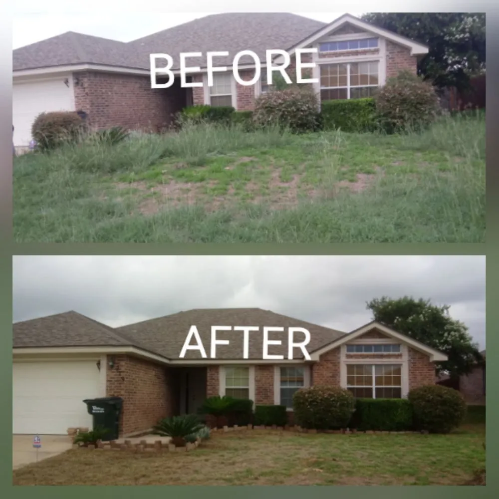 Local yard cleanup service in Killeen, TX - DiamondKing's Professional Services
