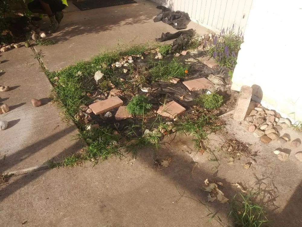 Custom yard maintenance experts serving Killeen, TX - DiamondKing's Professional Services