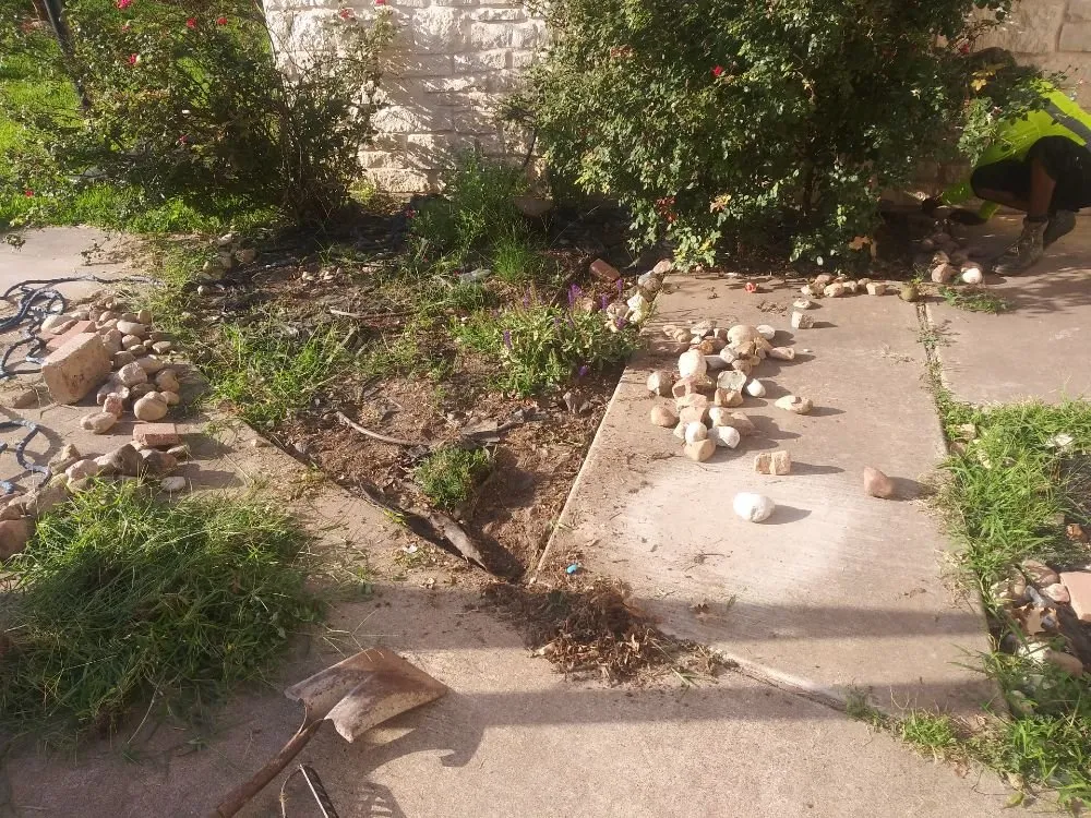 Professional yard maintenance in Killeen, TX by DiamondKing's Professional Services