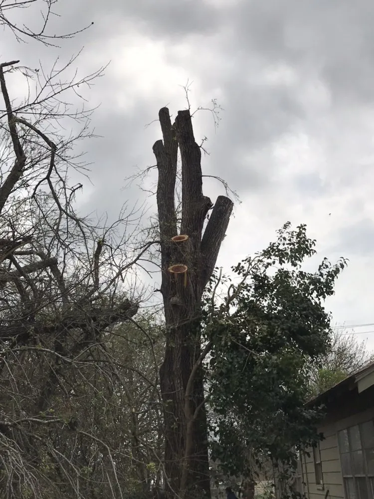 Reliable landscaping services for outdoor upgrades in Killeen, TX by DiamondKing's Professional Services