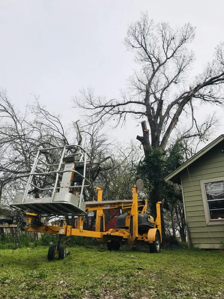 Expert landscaping services experts serving Killeen, TX - DiamondKing's Professional Services