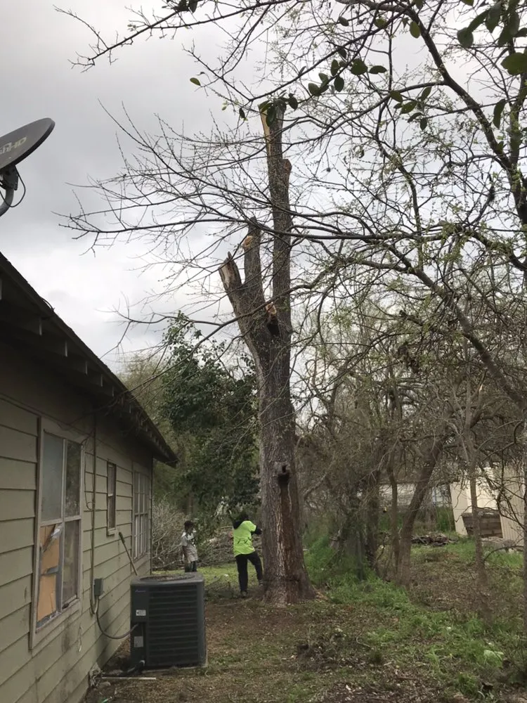 Affordable yard maintenance in Killeen, TX by DiamondKing's Professional Services