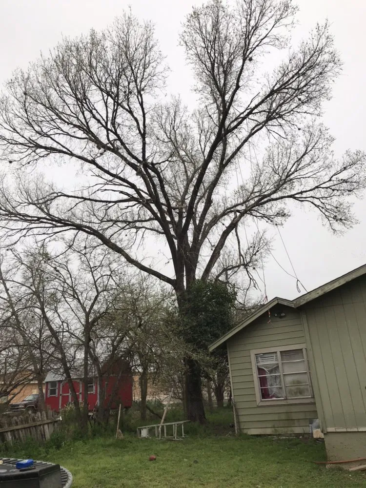 Trusted lawn mowing service in Killeen, TX by DiamondKing's Professional Services