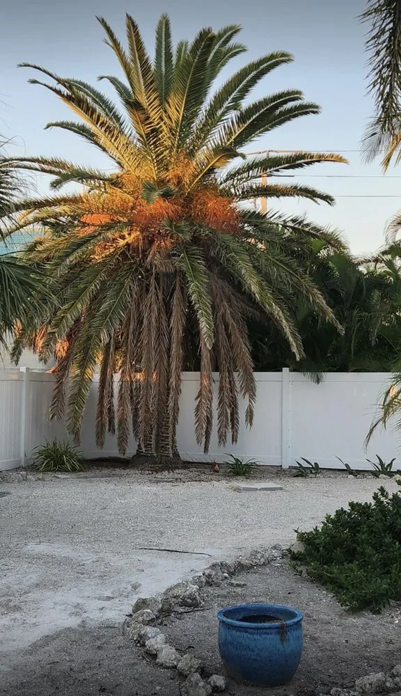 Expert garden landscaping for residential properties in Bradenton, FL by Diamonds Lawn Care Service