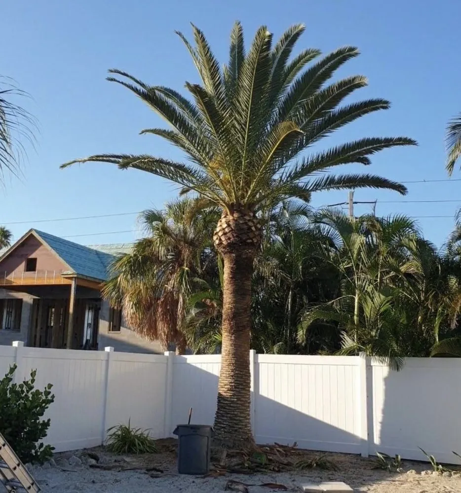 Local outdoor landscaping experts serving Bradenton, FL - Diamonds Lawn Care Service