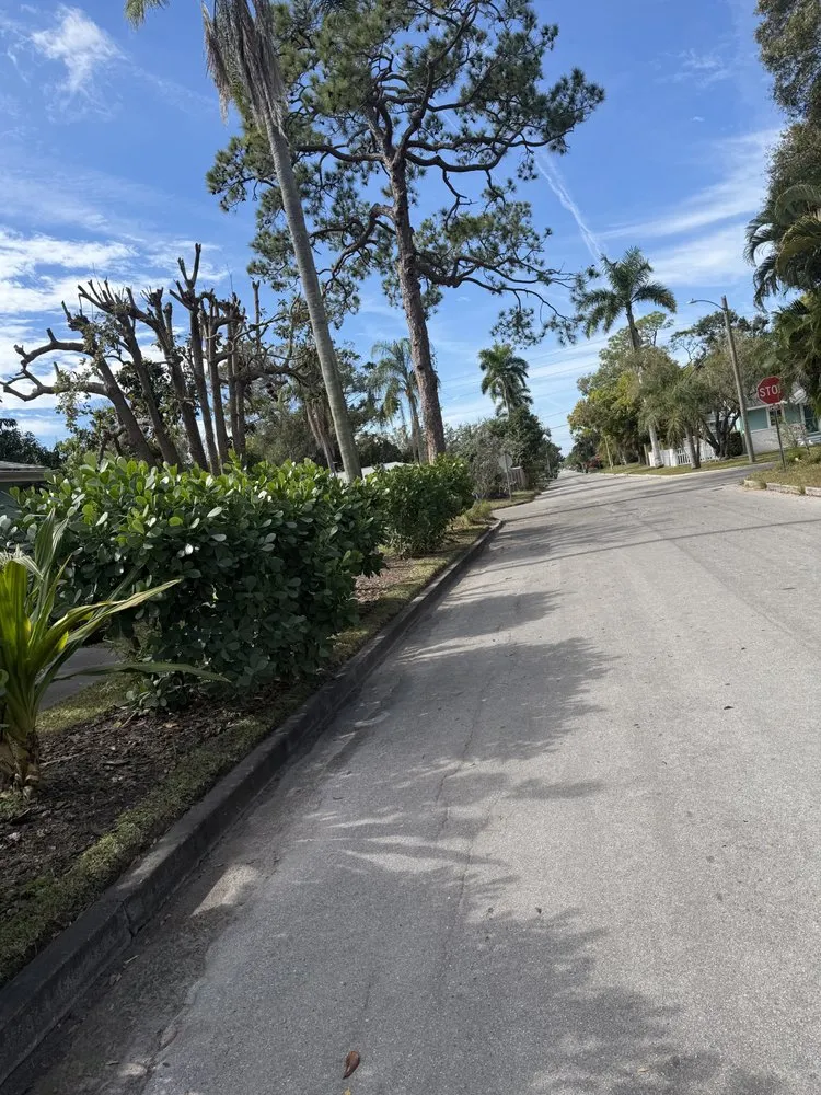 Affordable landscape installation in Bradenton, FL by Diamonds Lawn Care Service