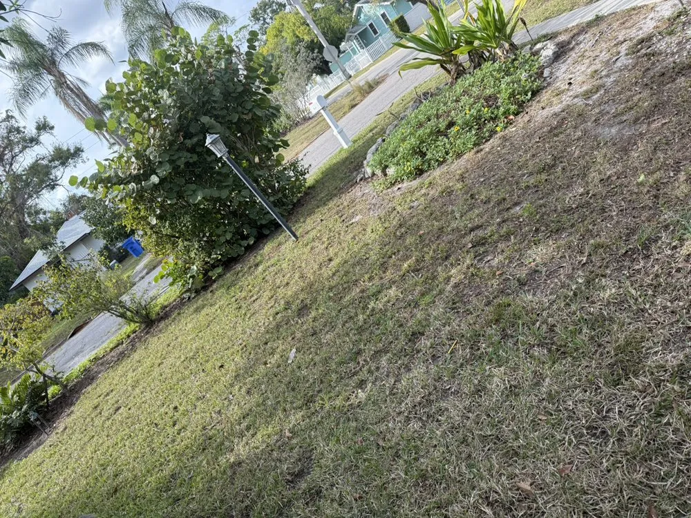 Custom landscape installation in Bradenton, FL by Diamonds Lawn Care Service