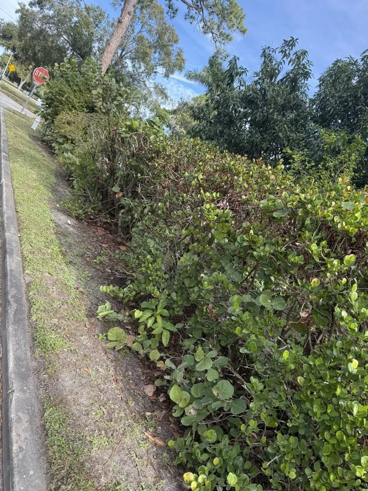 Trusted outdoor landscaping in Bradenton, FL - Diamonds Lawn Care Service