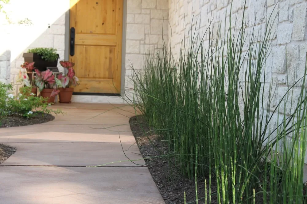 Local yard maintenance experts serving Manchaca, TX - Diamondscape