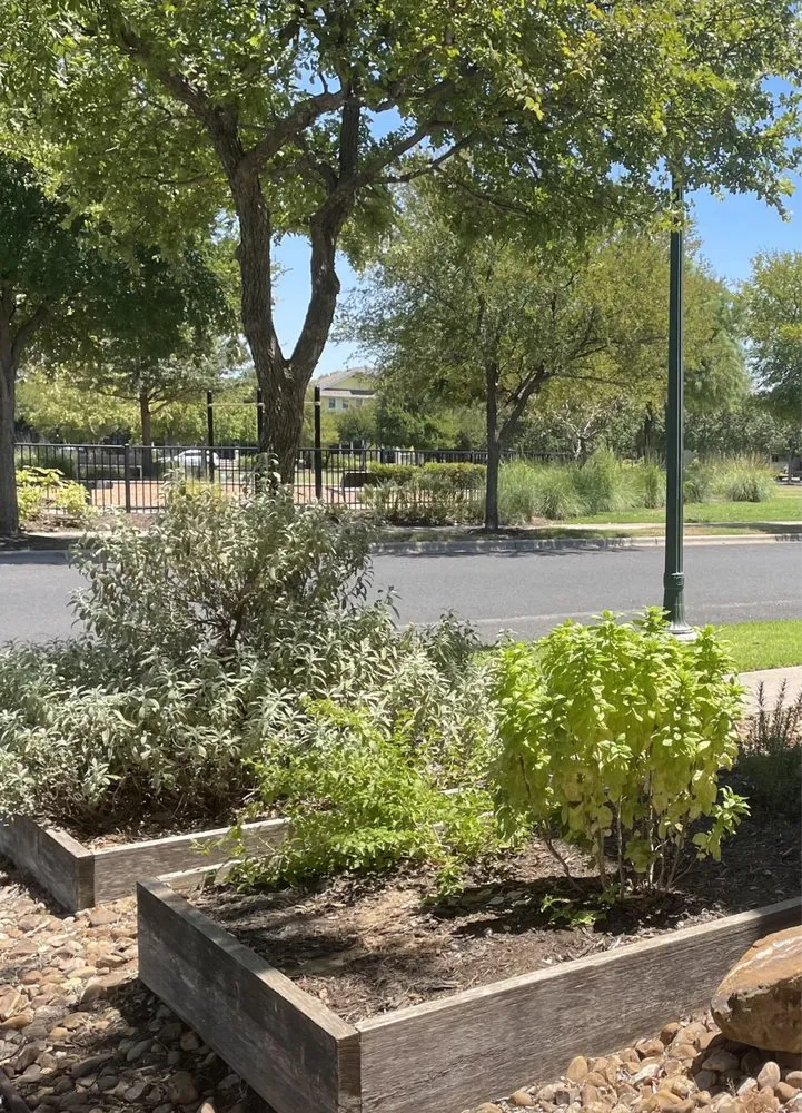 Professional yard cleanup service with custom design in Manchaca, TX by Diamondscape