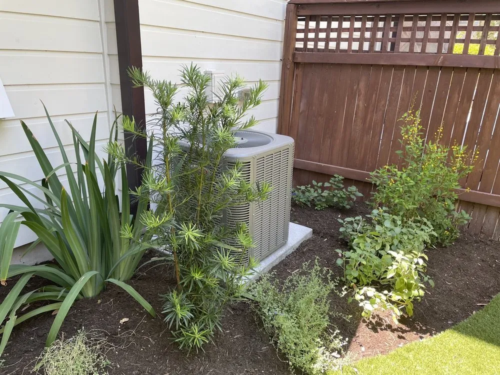 Reliable lawn care service in Manchaca, TX - Diamondscape