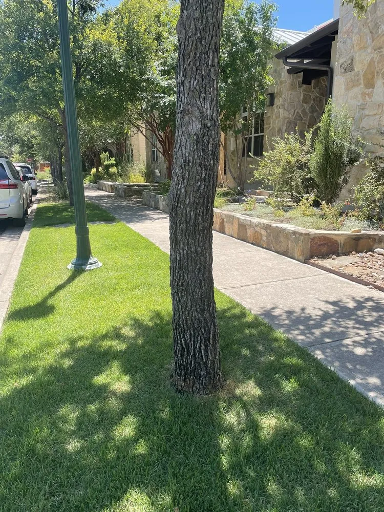 Reliable residential landscaping experts serving Manchaca, TX - Diamondscape