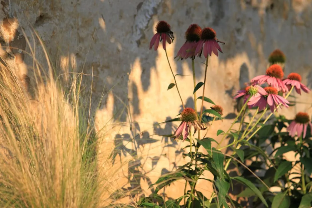 Top-rated outdoor landscaping experts serving Manchaca, TX - Diamondscape