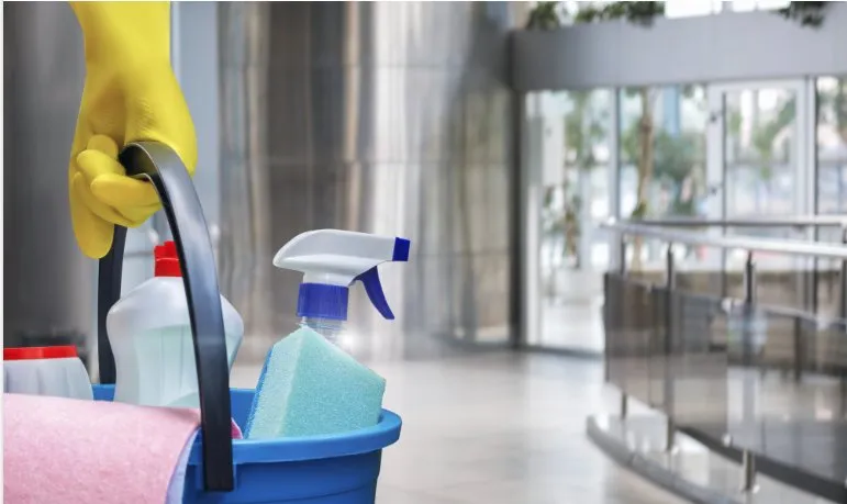 Trusted landscaping services experts serving Guerneville, CA - Diane's Home & Garden Services