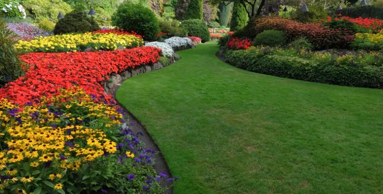 Top-rated yard cleanup service experts serving Guerneville, CA - Diane's Home & Garden Services