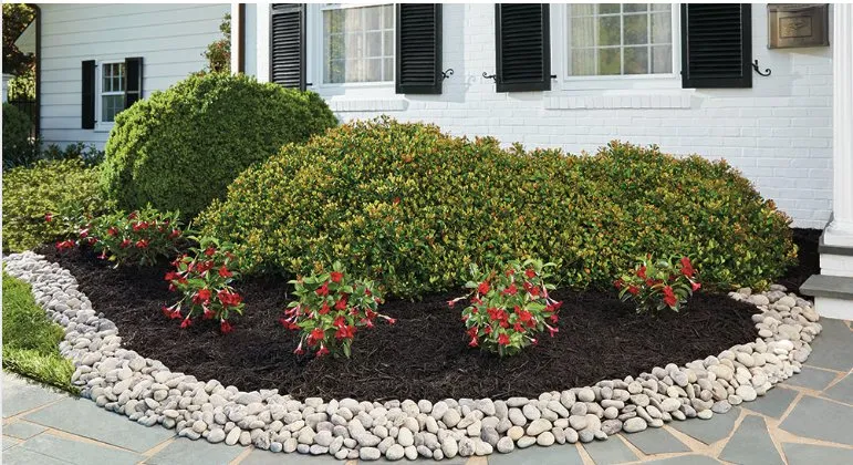 Expert residential landscaping for beautiful yards in Guerneville, CA by Diane's Home & Garden Services