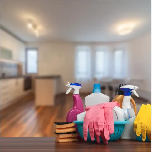 Reliable yard cleanup service experts serving Guerneville, CA - Diane's Home & Garden Services