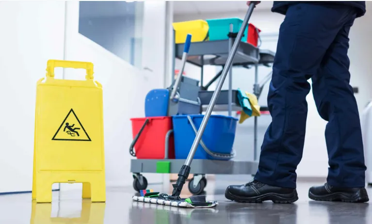 Top-rated landscape installation experts serving Guerneville, CA - Diane's Home & Garden Services