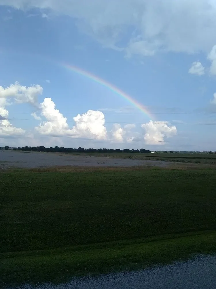 Affordable residential landscaping in Rutherford, TN by Dianna's Dream Residential and Commercial Property Management