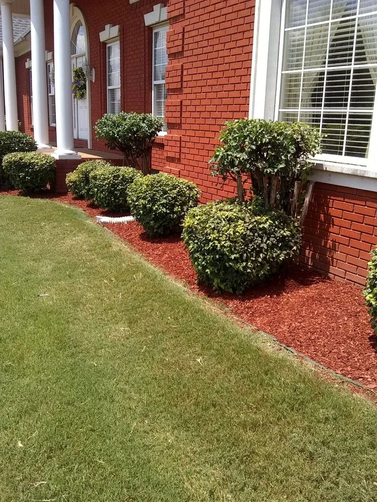 Professional lawn mowing service experts serving Rutherford, TN - Dianna's Dream Residential and Commercial Property Management