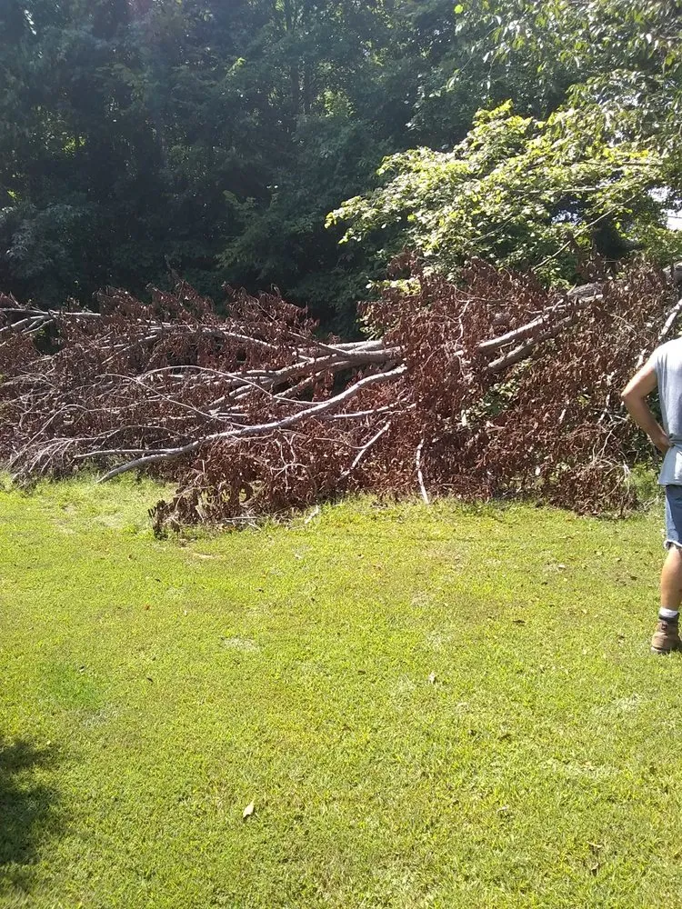 Professional landscape design experts serving Rutherford, TN - Dianna's Dream Residential and Commercial Property Management