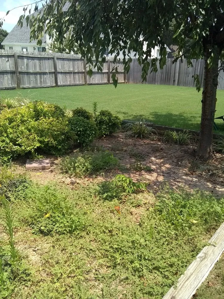 Local residential landscaping experts serving Rutherford, TN - Dianna's Dream Residential and Commercial Property Management
