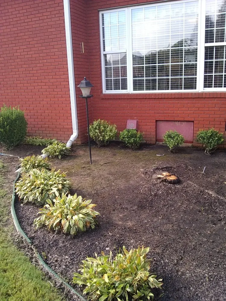 Top-rated residential landscaping in Rutherford, TN - Dianna's Dream Residential and Commercial Property Management